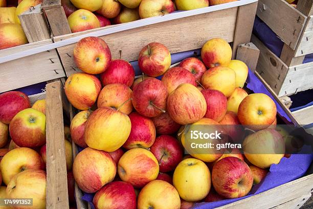 Geschenkbox Mit Roten Und Gelben Äpfeln Stockfoto und mehr Bilder von Apfel - Apfel, Bauernmarkt, Fotografie