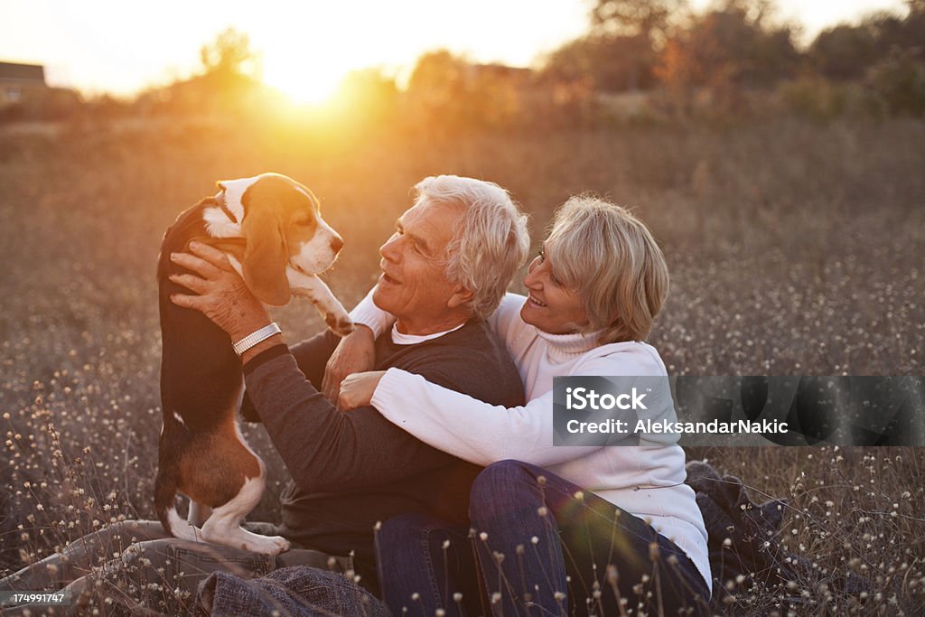 couple Senior avec leurs animaux de compagnie - Photo de Chien libre de droits