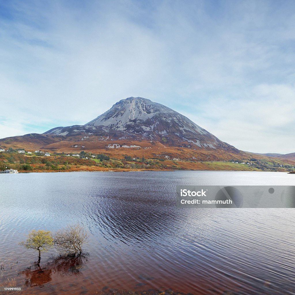 Mount Errigal in Donegal in Irland - Lizenzfrei Baum Stock-Foto