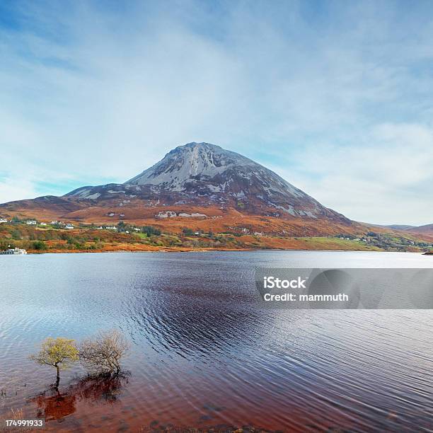Mount Errigal In Donegal In Irland Stockfoto und mehr Bilder von Baum - Baum, Berg, Berg Errigal