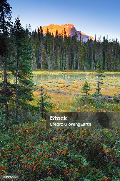 Monte Kerkeslin E Marsh - Fotografias de stock e mais imagens de Alberta - Alberta, Anoitecer, Ao Ar Livre