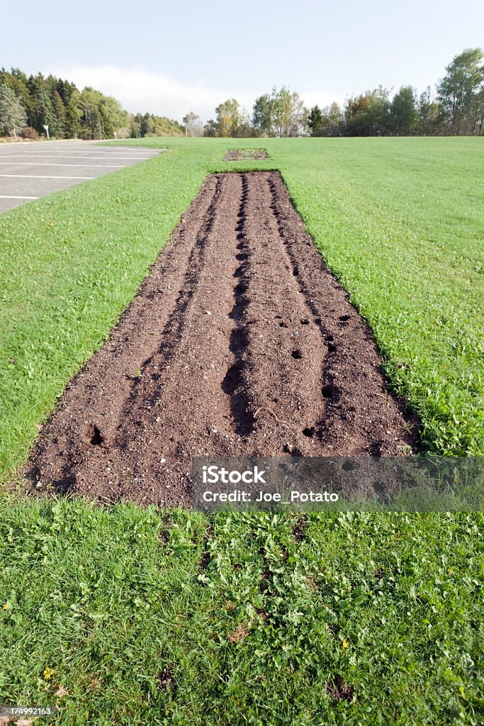 Prêt pour planter - Photo de Abreuvoir libre de droits