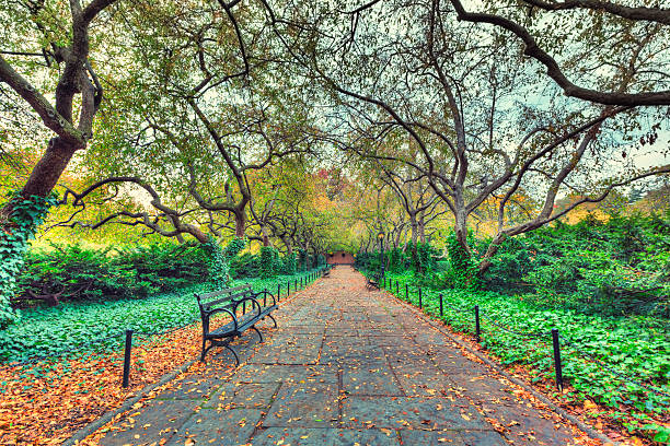 istock Conservatory Garden, Central Park in NYC 174992456