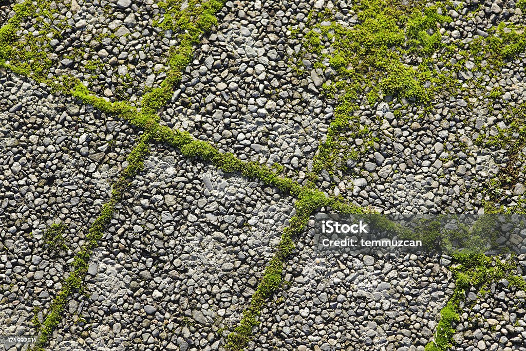 Muschio verde cresce tra le pietre marciapiede. - Foto stock royalty-free di A forma di blocco
