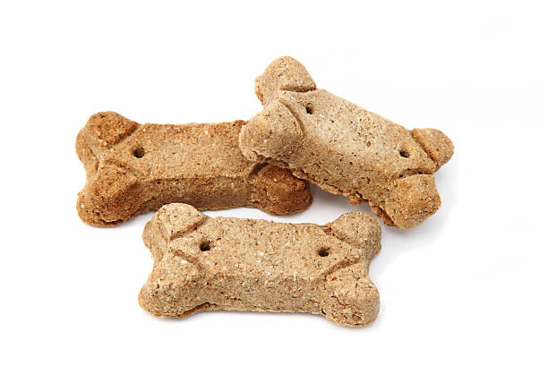 istock Dog bone biscuit treats 174992557
