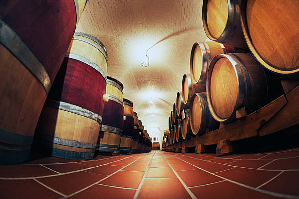 istock Looking along rows of wine barrels in winery cellar 174993030