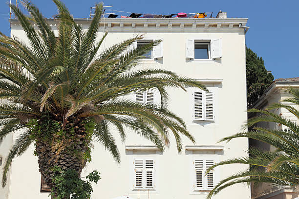 bright white hotel facade with palm trees in Croatia