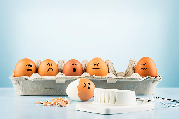 uova umorismo: l'idea di un - funny eggs foto e immagini stock