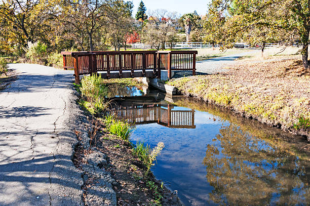 istock Small wooden footbridge over creek in Walnut Creek, CA 174993609