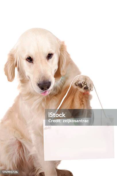 Messaggio Del Cane - Fotografie stock e altre immagini di Segnale - Segnale, Cane, Tenere