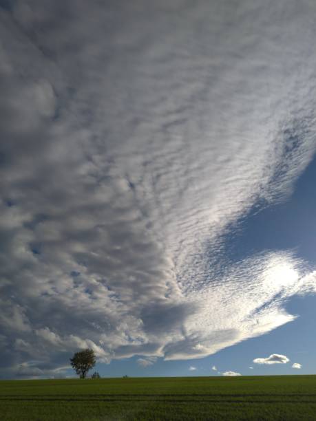 istock Feather clouds above the green field 1749937530