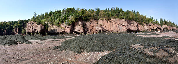 istock Hopewell Rocks Provincial Park 174994223