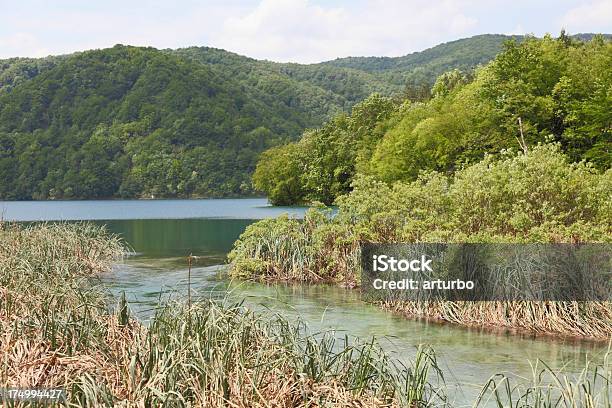 Blue Creek Into Turqoise Green Forest Lake Plitvice Croatia Stock Photo - Download Image Now