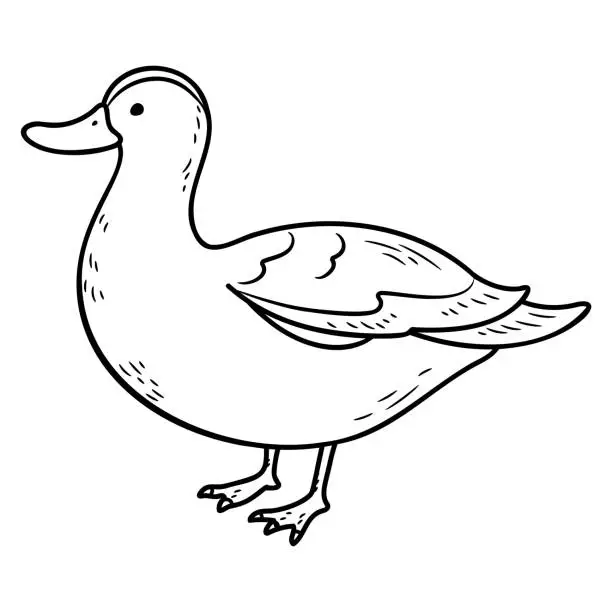 Vector illustration of Simple and adorable Duck illustration with only outlines