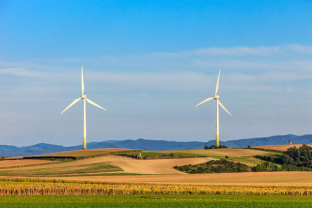 풍력 터빈 - wind turbine austria field yellow 뉴스 사진 이미지