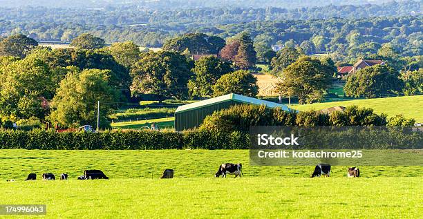 South Downs Stockfoto und mehr Bilder von Midlands-Region - Midlands-Region, Osten, Ländliches Motiv