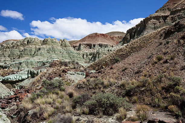 istock Blue Basin at John Day Fossil Beds National Monument 174996456