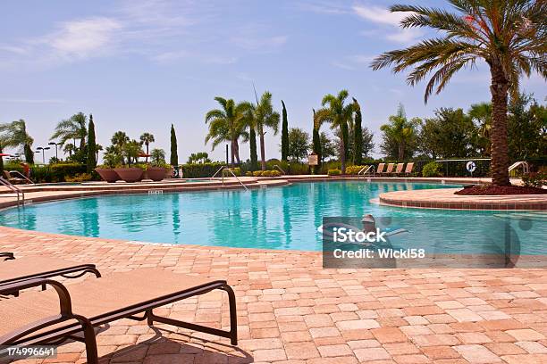 A Desfrutar Flutuante Em Uma Piscina Grande - Fotografias de stock e mais imagens de Florida - EUA - Florida - EUA, Olhar para a Câmara, Pessoas