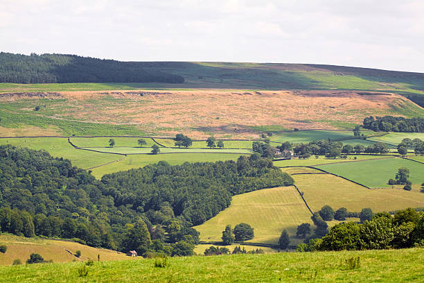 istock Hills and high moor of Peak District 174996654