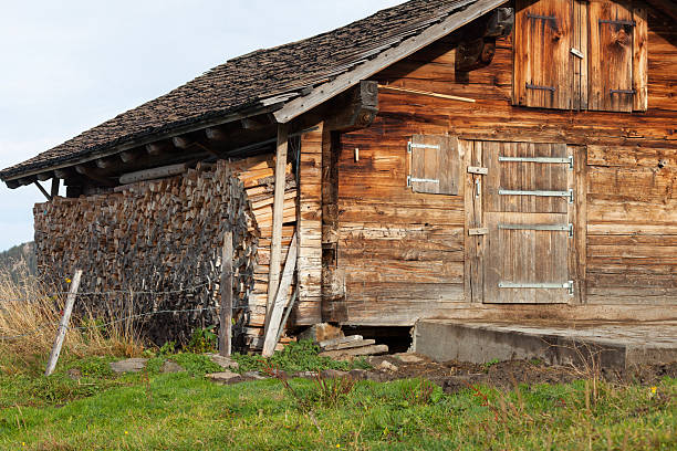 istock Bernese alpine hut for cattle in summer 174996711