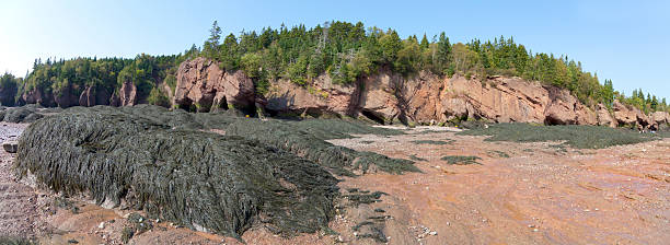 istock Hopewell Rocks Provincial Park 174996724