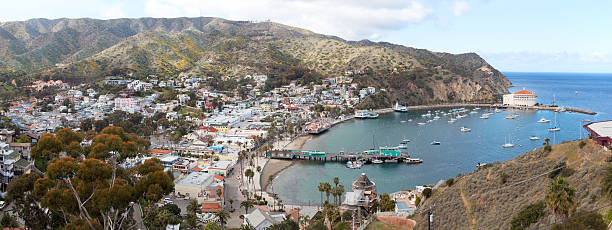 istock Panorama of Avalon, Catalina Island 174997283