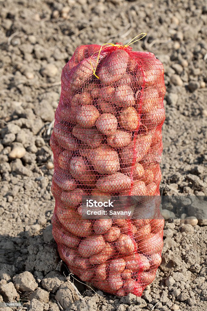 Potatos en la bolsa - Foto de stock de Alimento libre de derechos