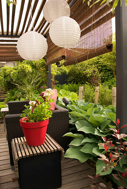 istock Garden patio with a pergola and wicker sofas 174997951