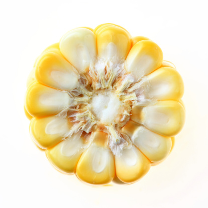 Corn isolated on a white background