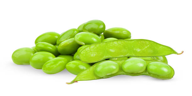 istock green soybeans on white background 1749986912