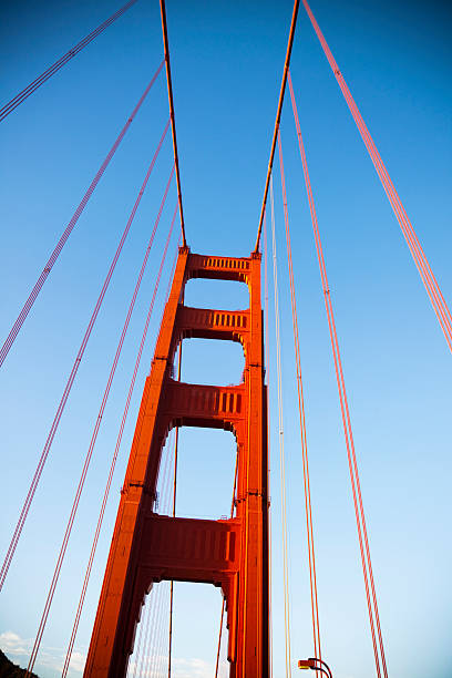 istock A view of the Golden Gate Bridge from below 174998778