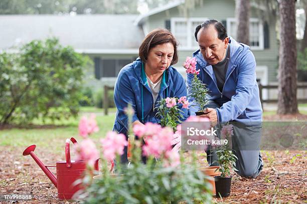 Hispanic Coppia Di Giardinaggio - Fotografie stock e altre immagini di Relazione di coppia - Relazione di coppia, Primavera, Giardinaggio