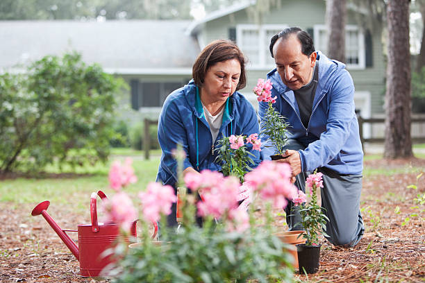 istock Hispanic couple gardening 174998888