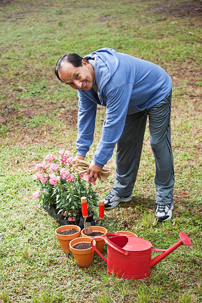 istock Senior Hispanic man gardening 174998889