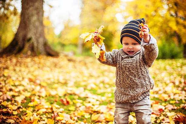 istock Cute boy in autumn 174998987