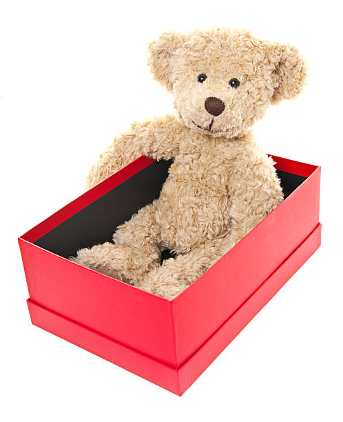 istock CuteTeddy Bear Sitting in Shoe Box, Isolated on White 174999149