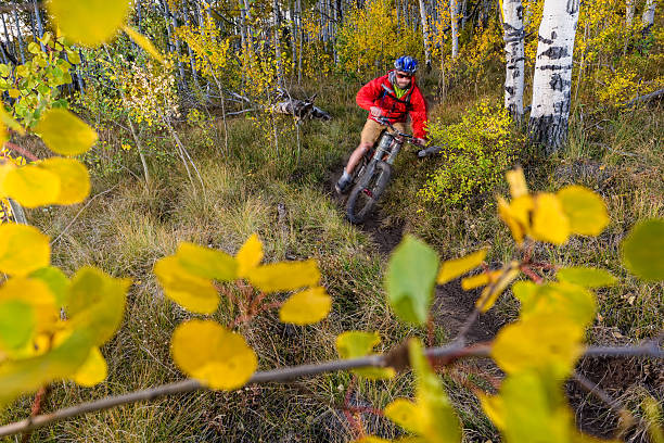 pratique du vtt dans la forêt de montagne d'aspen - mountain biking colorado action cycling photos et images de collection