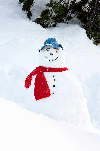 istock Frosty the snowman 174999445