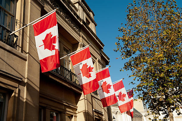 istock Five Canadian flags flying from building in sun next to tree 174999452