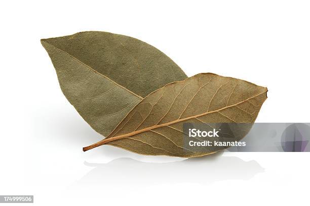 Dried Bay Leaf Stock Photo - Download Image Now - Bay Leaf, Bay Tree, Cut Out