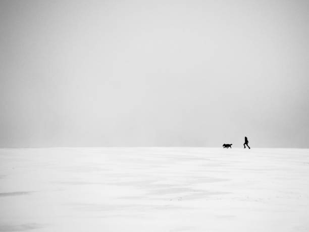istock Person with a dog running over a snow covered field 1749996991