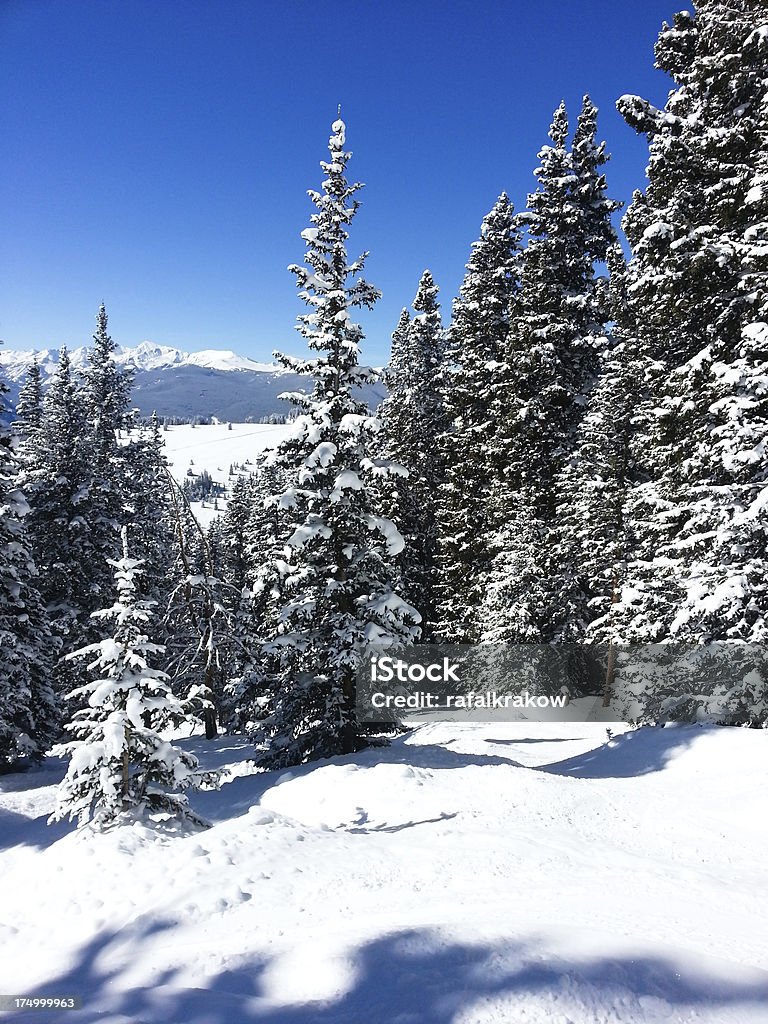 Vail complejo turístico de esquí en Colorado - Foto de stock de Vail libre de derechos