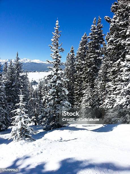 Vail Complejo Turístico De Esquí En Colorado Foto de stock y más banco de imágenes de Vail - Vail, Abeto, Abeto Picea