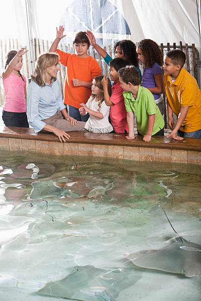 istock Children at zoo stingray exhibit 175000034