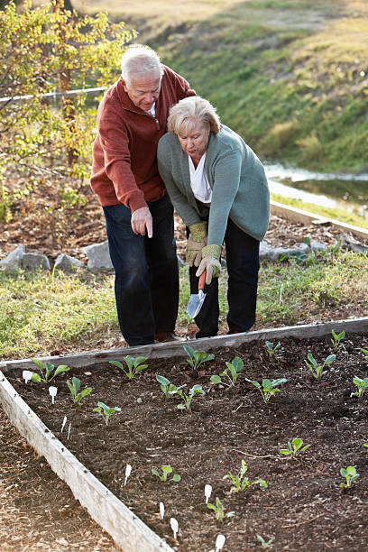 пенсионер работать в саду - sc0588 vertical full length outdoors стоковые фото и изображения