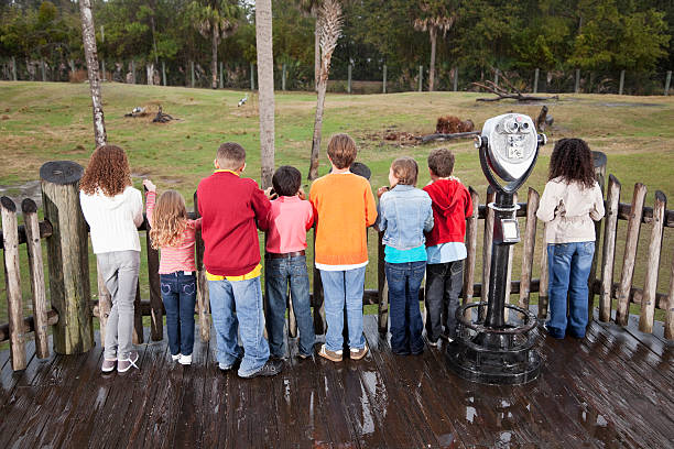 grupo de crianças no zoológico - sc0605 wildlife education in a row - fotografias e filmes do acervo