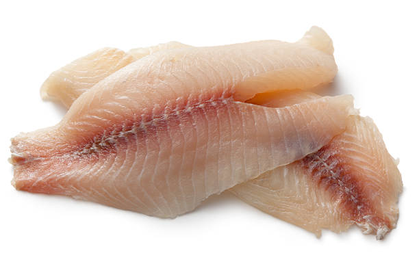 istock Seafood: Tilapia Fillet Isolated on White Background 175000536