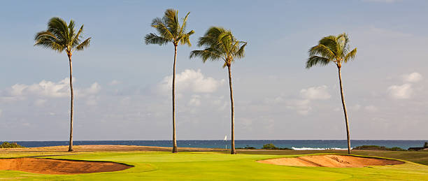 istock Golf Green By the Sea 175000579
