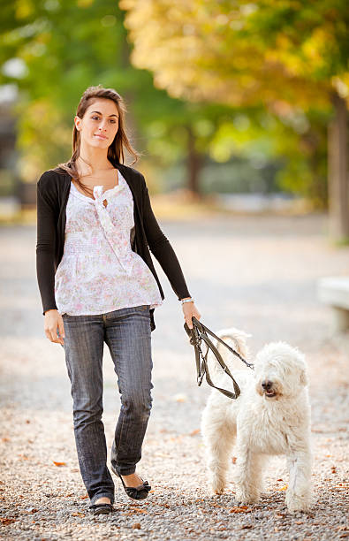 istock Young woman with her dog 175000743