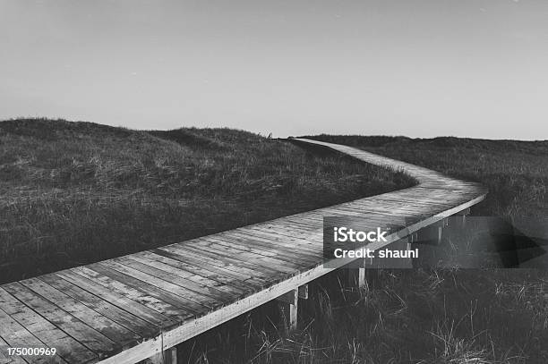 Ночь Boardwalk — стоковые фотографии и другие картинки Аммофила - Аммофила, Без людей, Вечерние сумерки